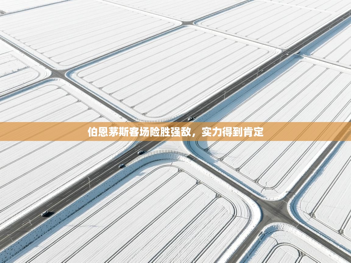 伯恩茅斯客场险胜强敌，实力得到肯定  第2张