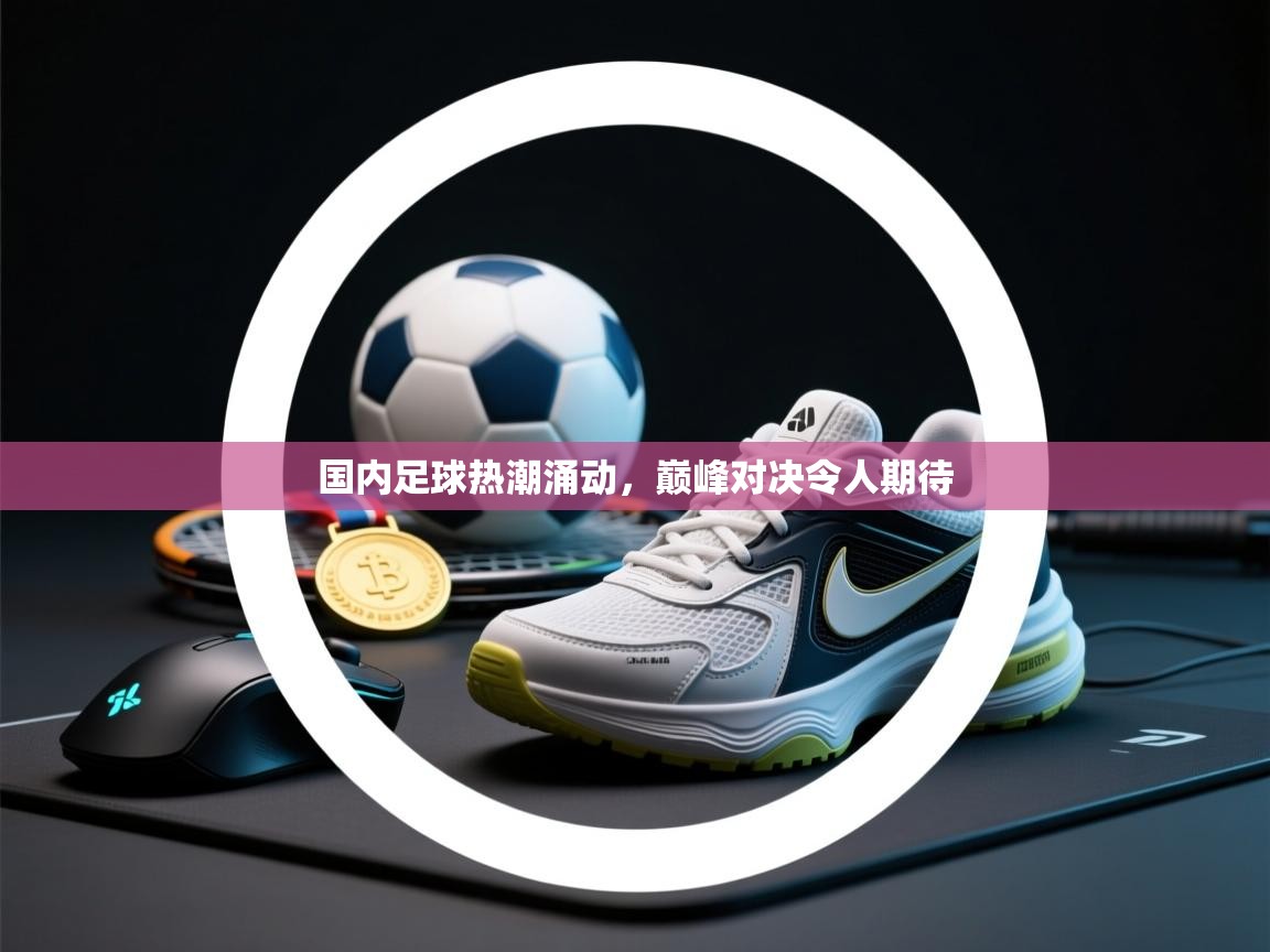 国内足球热潮涌动，巅峰对决令人期待  第2张