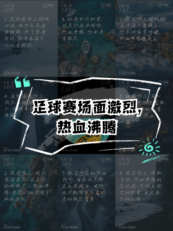 关于热血沸腾的欧洲对决：球场上奋力拼搏的信息