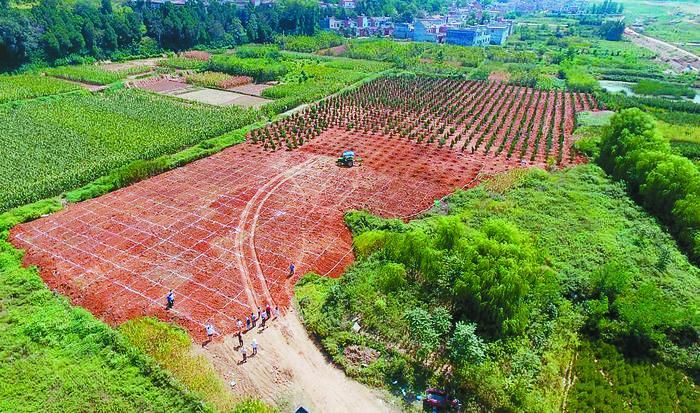 秦岭关键之战脱颖而出，稳固领先的简单介绍